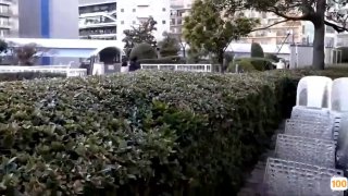 霍雨浩为什么痛恨唐三这么年轻漂亮太可惜了为了赚快钱不惜廉价出卖自己【完整版看下遍简阶】